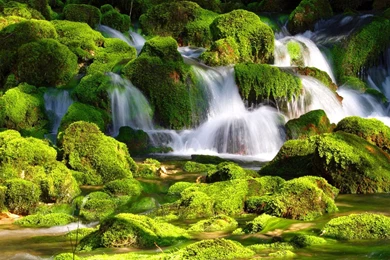 Nature Wallpapers, Hd Desktop Images, Amazing Views, Green, Clean ...