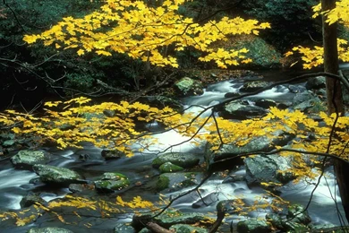 Nature Wallpapers, Hd Desktop Images, Sky, Green, Windows ...