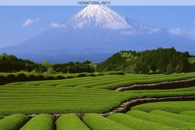 Nature Wallpapers Hd For Desktop Free Download   HD WallpapersHD ...