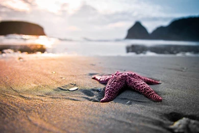 Nature HD Wallpapers 1080p Wallpapers Cave