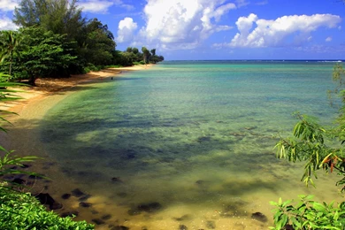 Nature Wallpapers Hd 46 Desktop Backgrounds   XDwallpaper.com