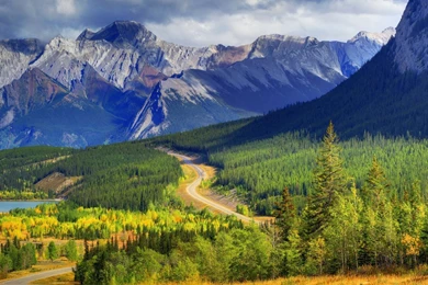 Hd Nature Images, Wallpapers Of Natures, Organic, Plants, Fresh Air ...