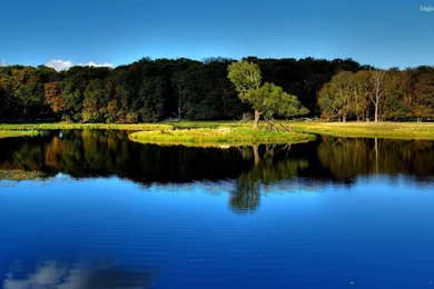 Hd Desktop Wallpapers Nature   Wallpapers HD Fine