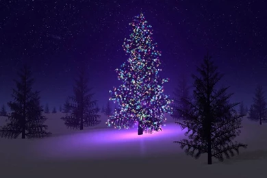 English Cat: Best Christmas Tree And Santa Claus Wallpapers For ...