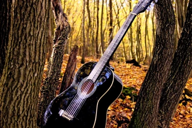 Download Guitar For Android, Guitar 4.0 Download