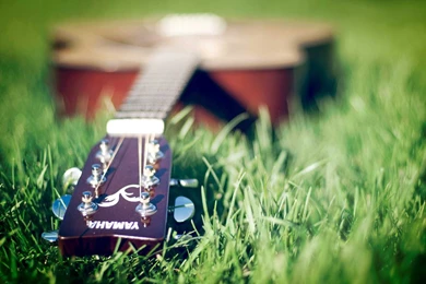 Guitar Wallpapers HD Best Collection For Desktop And Mobile