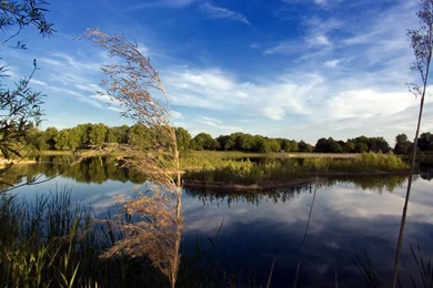 High Definition Wallpapers For Free Download