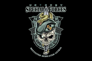 Us Army Wallpapers   Wallpapers Cave