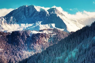 1080x1920   Android Live Wallpapers, Android Wallpapers, Android ...