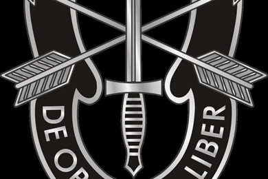 Us Army Special Forces Logo (id: 25423) – BUZZERG