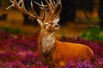 3D Stag Desktop Wallpapers