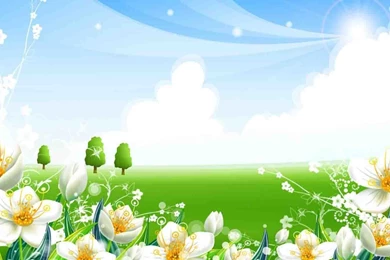 2880x1800px Cool Wallpapers Flower Backgrounds