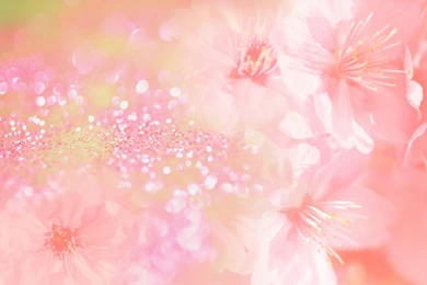 Beautiful Green Flowers Wallpapers