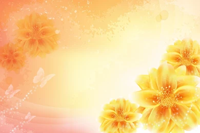 Yellow Flower Backgrounds   Wallpaper.