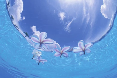 Okinawa Island HD Wallpapers