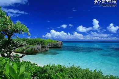 Okinawa Beach Photo Tour   Okinawa Beach Wallpapers 18   Wallcoo.net