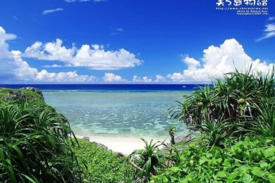 Okinawa Beach Photo Tour   Okinawa Beach Wallpapers 16   Wallcoo.net