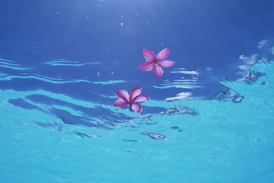 Japan Okinawa Island Beaches Wallpapers Okinawa Tourist ...