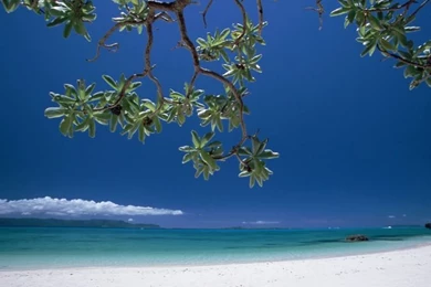 Seashore And Tree Wallpapers   Placid Beach In Okinawa Island ...
