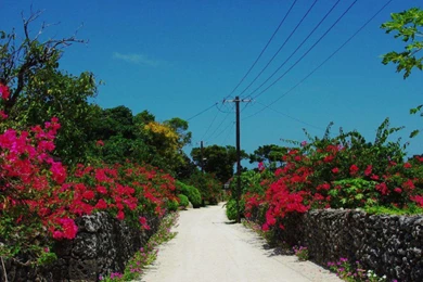 Ishigaki Resort Okinawa Japan   (