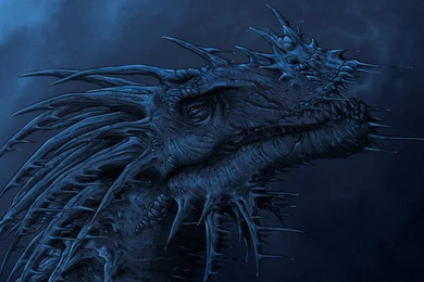 Fire Dragon Mobile Wallpapers 1784   HD Wallpapers Site