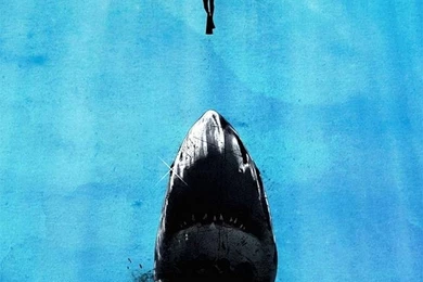 Wallpapers Iphone 6 Plus Inches 5 5 316   1080 X 1920   Iphone 6 ...