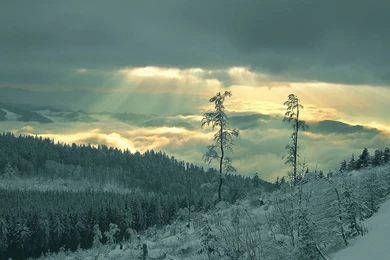 Best Winter Wallpapers 1280x1024