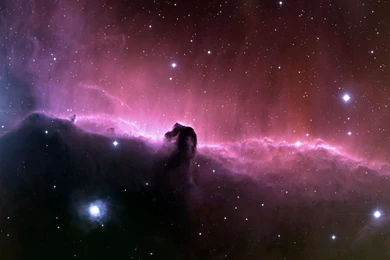 Horsehead Nebula, Space, Stars, Violet 1280x1024   Wallpapers ...