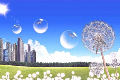 3d Desktop Wallpapers Free Download   4 Items