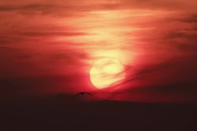 Free Samsung Galaxy Wallpapers Download