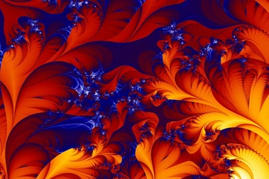 Fractal, Computer, Wallpapers, Vivid, Background, Enigma, Desktop ...