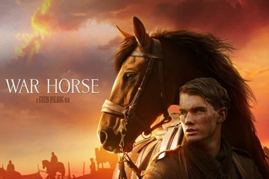 War Horse Wallpapers