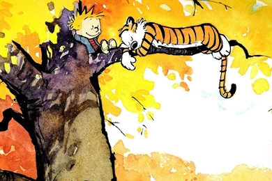 Calvin And Hobbes Wallpapers   Comic Wallpapers