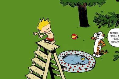 81 Calvin & Hobbes Wallpapers Optimized For 1920x1080 : Pics