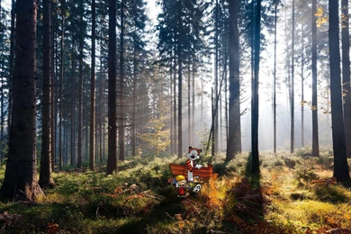 60 Calvin & Hobbes Backgrounds Wallpapers   John Saddington