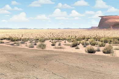 Jeff Raymond / Portfolio / Cars Packaging Backgrounds