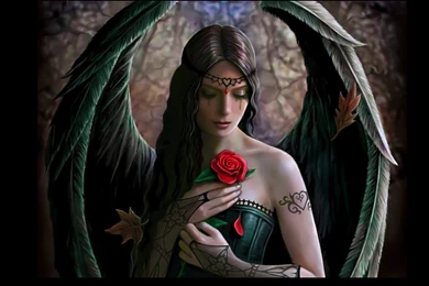 Angel Wings Fantasy Girl Beautiful Rose Flower Wallpapers ...
