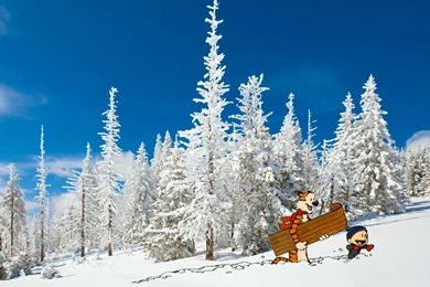 Calvin And Hobbes Wallpapers Dump   Album On Imgur