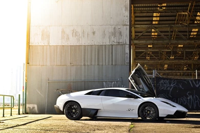 White Lamborghini Murcielago SV Wallpapers