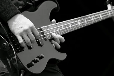 Bass Guitars