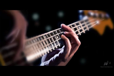 Guitars, Bass Guitars