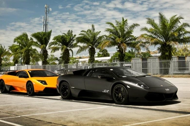 Black Orange Lamborghini Murcielago Murciélago Lp670 4 Sv ...