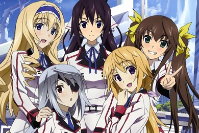 2560x1600px Infinite Stratos 686.42 KB