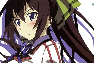 Shinonono Houki IS<Infinite Stratos> Wallpapers Anime ...