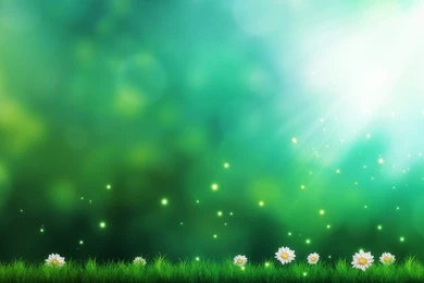 Green Nature Flwoers Backgrounds Wallpapers HD Download
