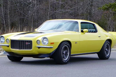 Chevrolet Camaro SS 1970   Image