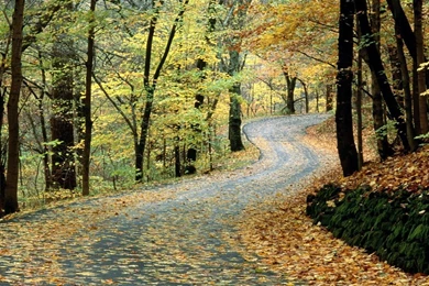 Wallpapers Best Tennessee Landscape Resolution Free 1366x768 ...