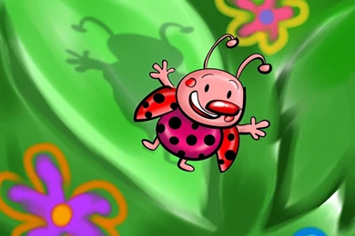 Male Lady Bug Wallpapers   HotWallpaperHD.com