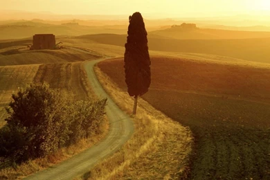 Wallpapers catalogue.com   Landscape Wallpapers   Tuscan Landscape ...