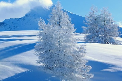 1366x768 Snow Landscape Wallpapers